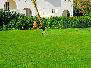 Lawn Installation Neenah, WI